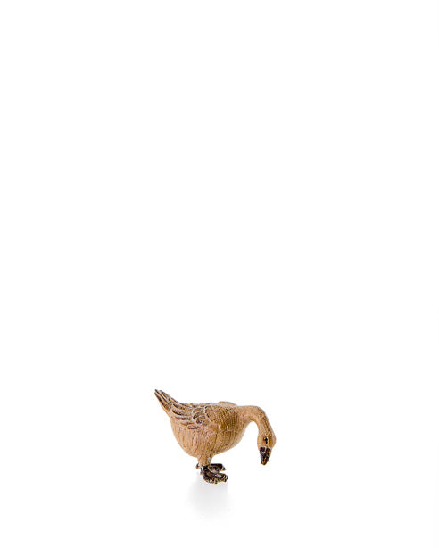 Gans nach unten schauend