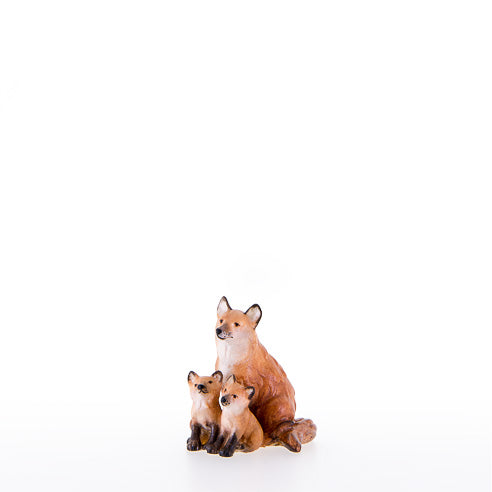Fuchs mit Welpen