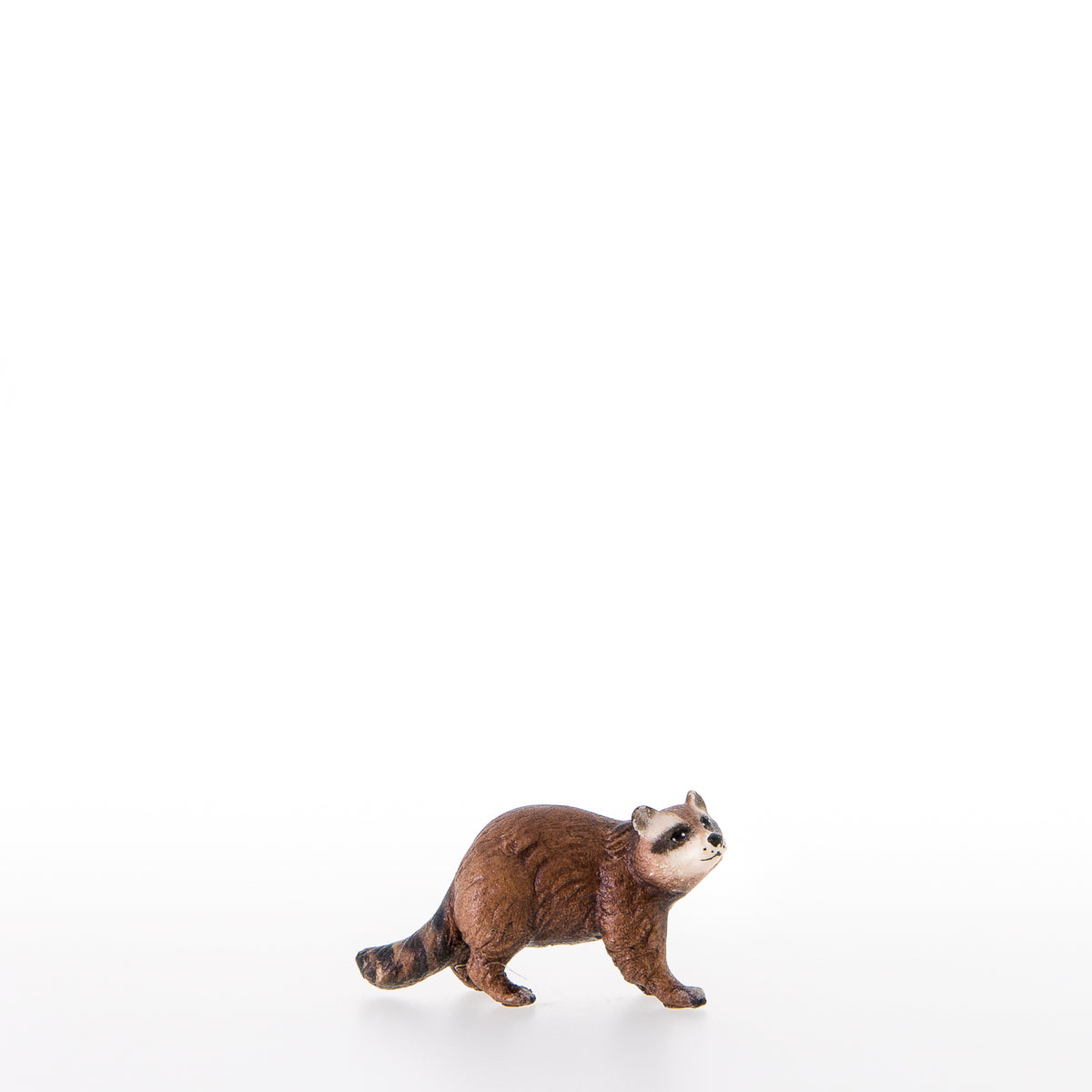 Waschbaer
