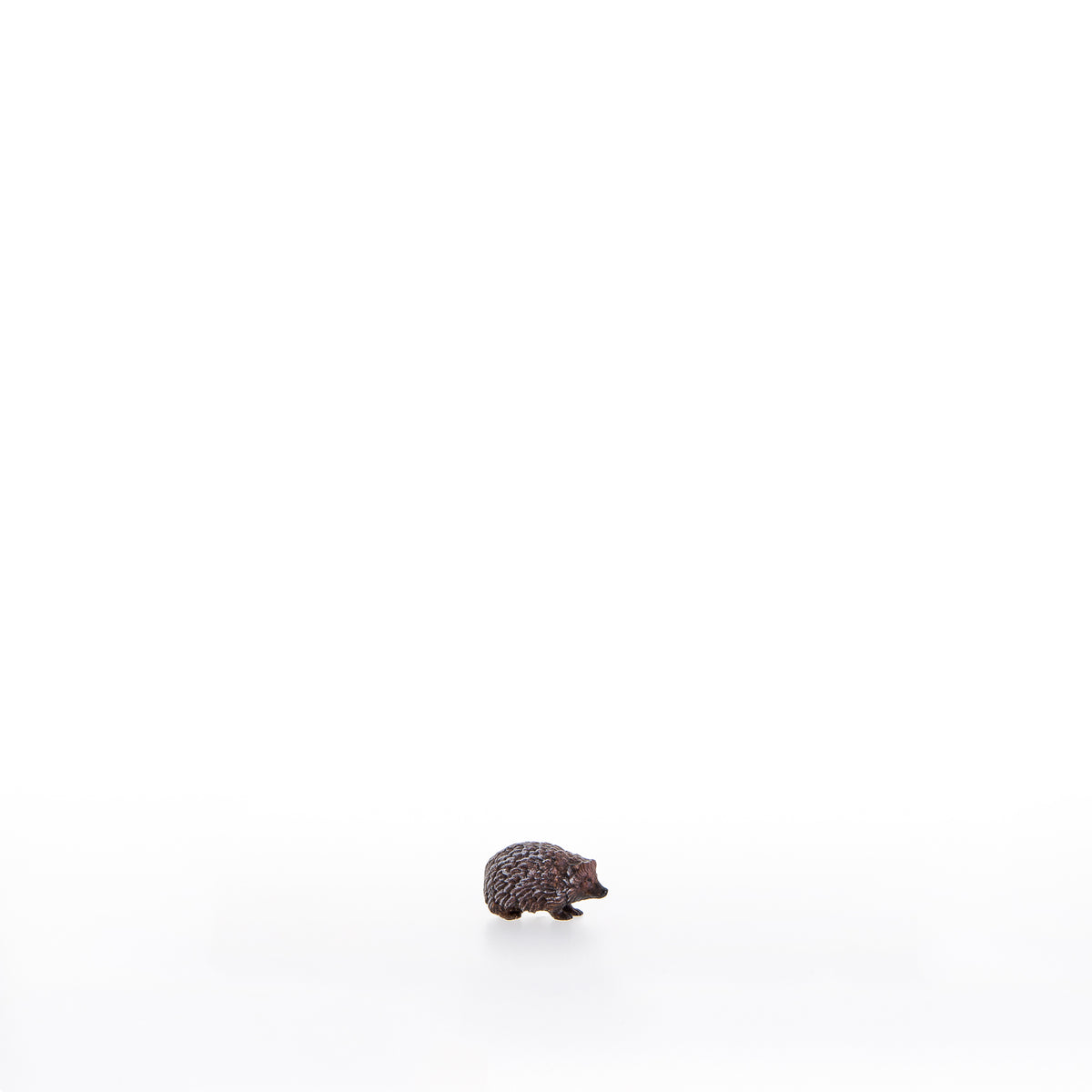 Igel nach unten schauend