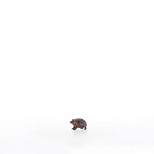 Igel nach oben schauend