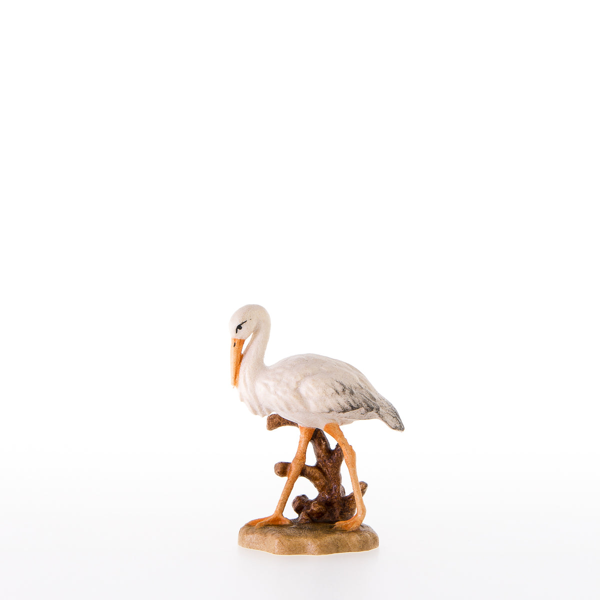 Storch