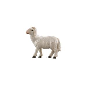 Advent Krippe Schaf stehend linkssch.
