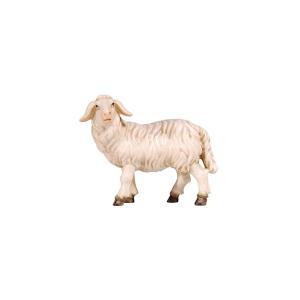 Rainell Krippe Schaf stehend linksschauend