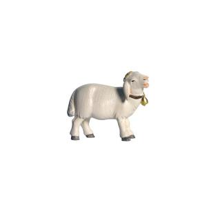 Pema Krippe Schaf stehend Glocke rechtsschauend