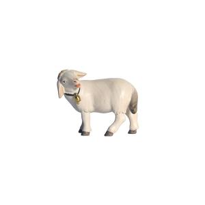 Pema Krippe Schaf stehend Glocke linksschauend