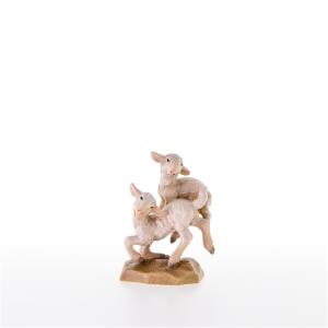 Springendes Laemmerpaar