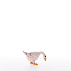 Gans nach unten schauend