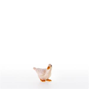 Gans nach links schauend