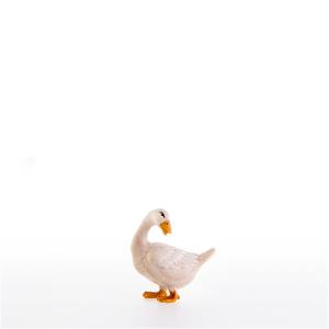 Gans nach hinten schauend