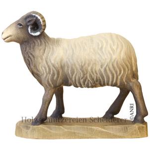 SCHAFBOCK-KU