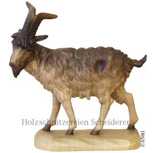 ZIEGENBOCK-KU
