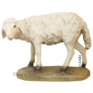 SCHAF STEHEND-KU