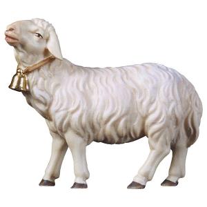UL Schaf geradeaus schauend mit Glocke