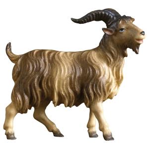 HE Ziegenbock