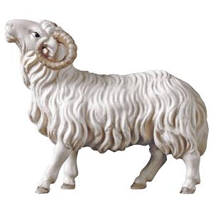 HE Schafbock