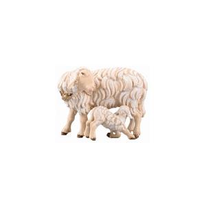 IN Schaf mit Lamm saugend