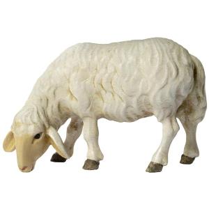 Tavella Krippe Schaf grasend