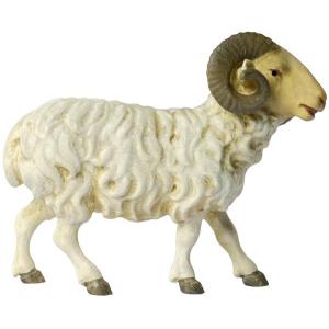 Tavella Krippe Widder