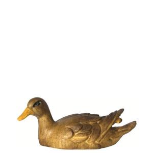 Ente schwimmend - Kopf links