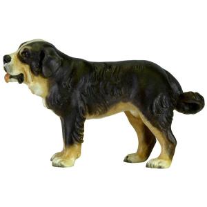 Berner Sennenhund