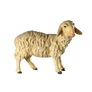 Bavaria Krippe Schaf stehend 