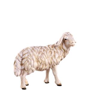 Heimat Krippe Schaf stehend