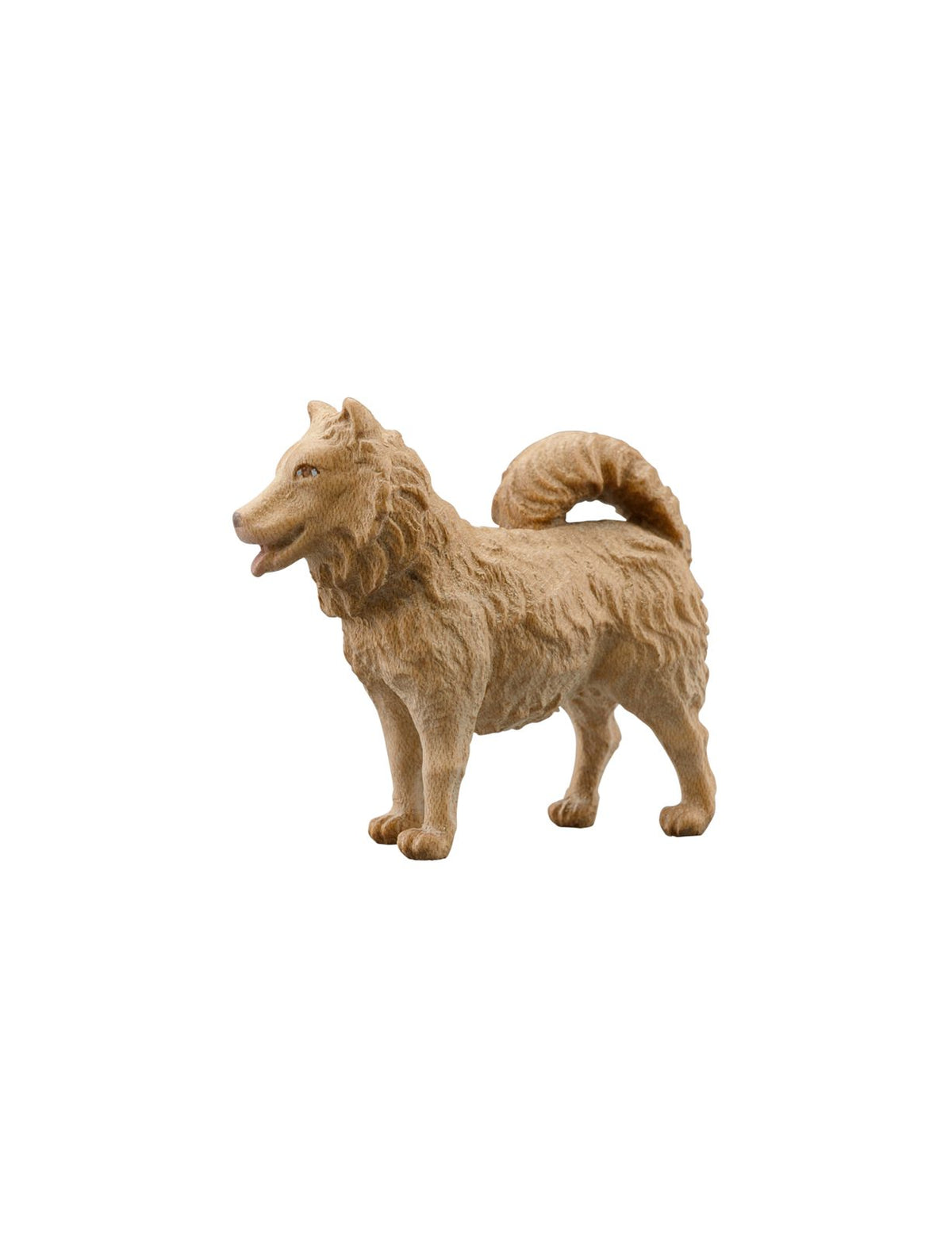 IN Hund Spitz