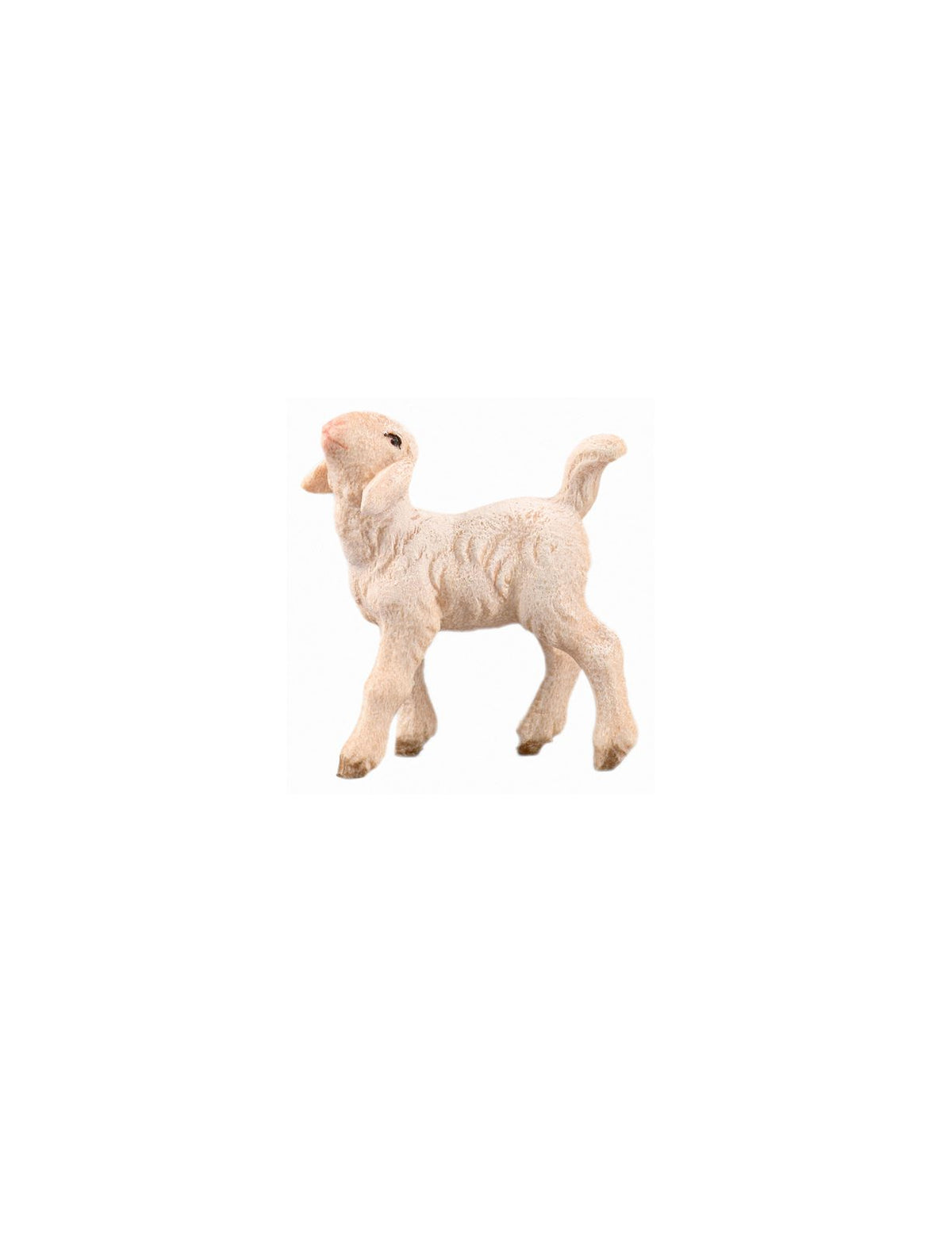 IN Lamm linksschauend
