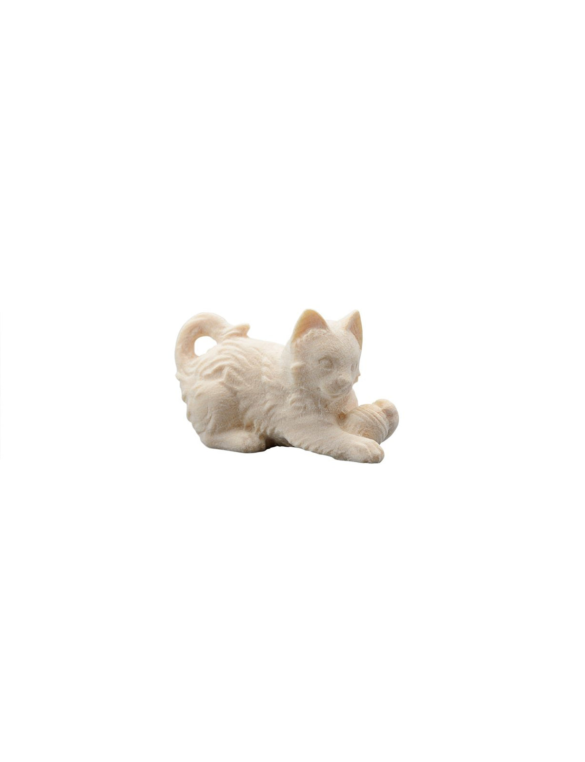 IN Katze