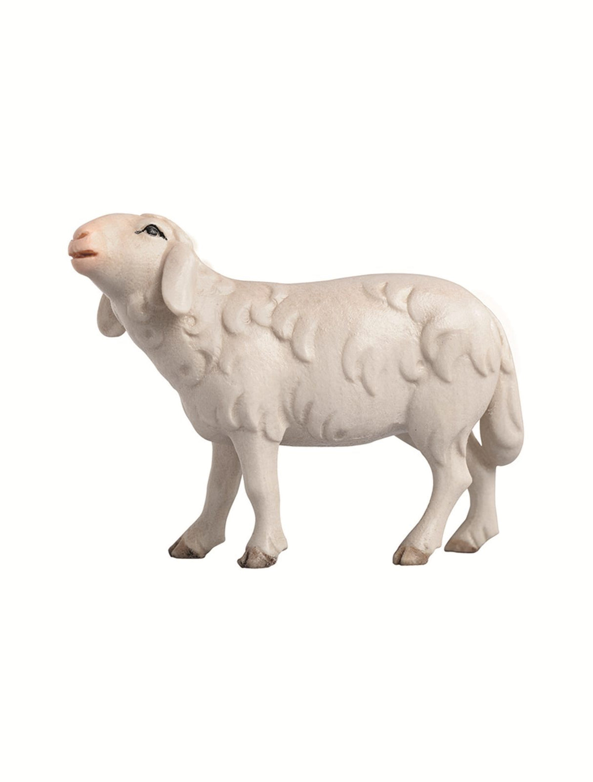 LI Schaf laufend