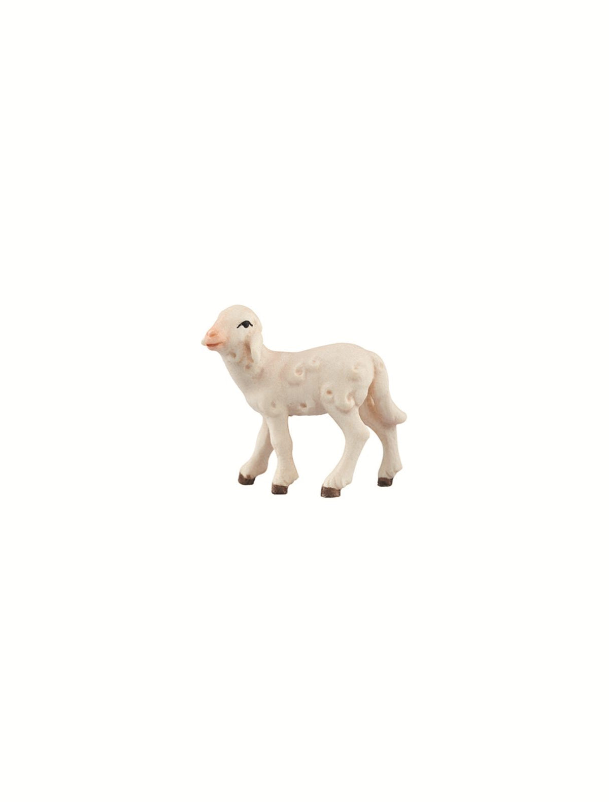 LI Lamm links schauend