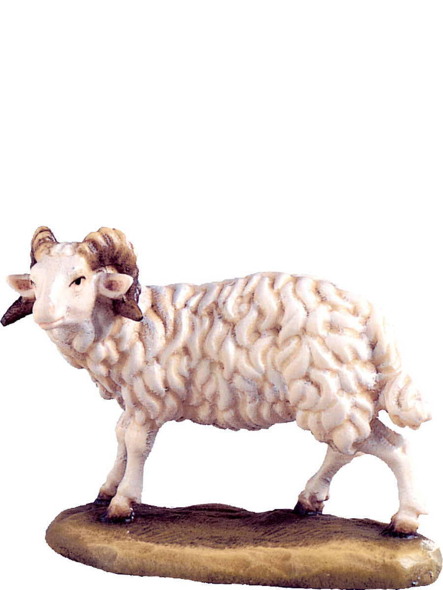 Widder B.K.