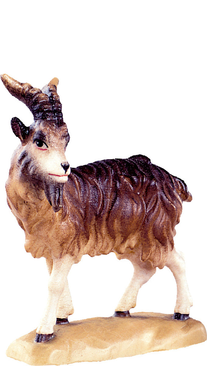 Ziegenbock B.K.