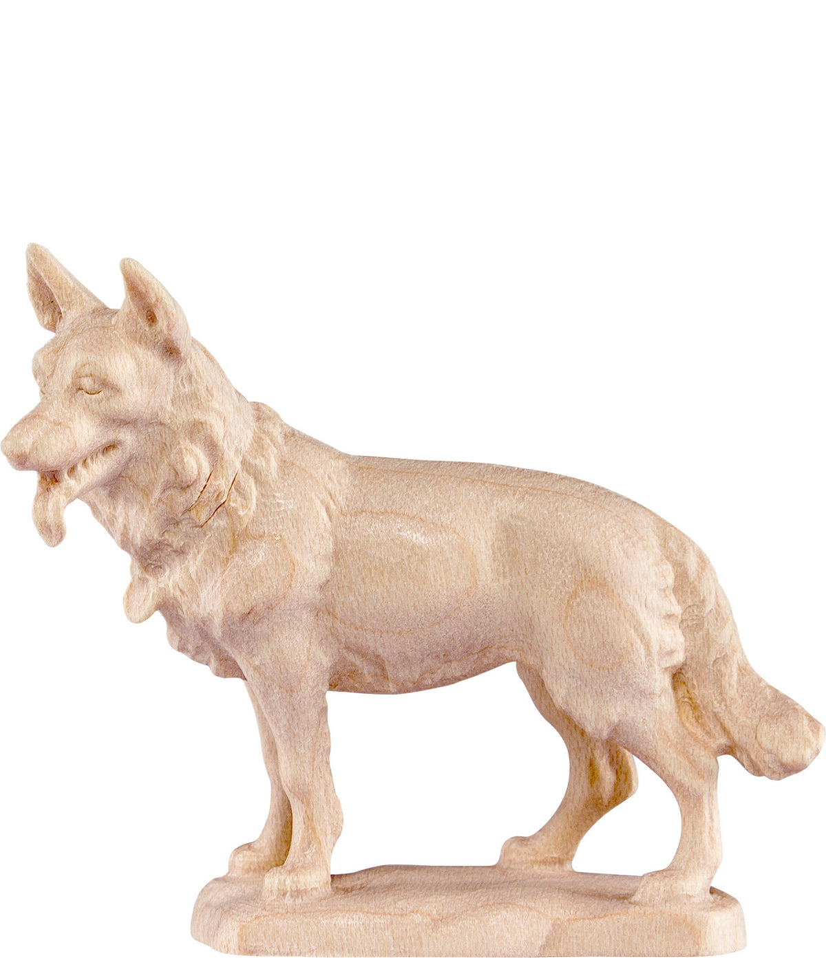 Schäferhund B.K.