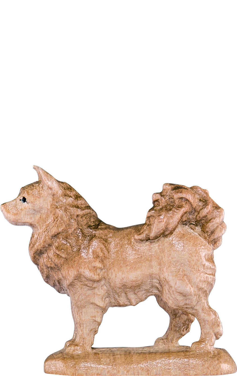 Spitzhund B.K.
