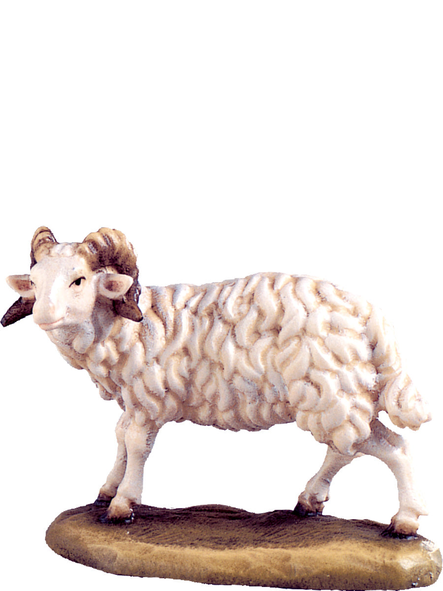 Widder D.K.