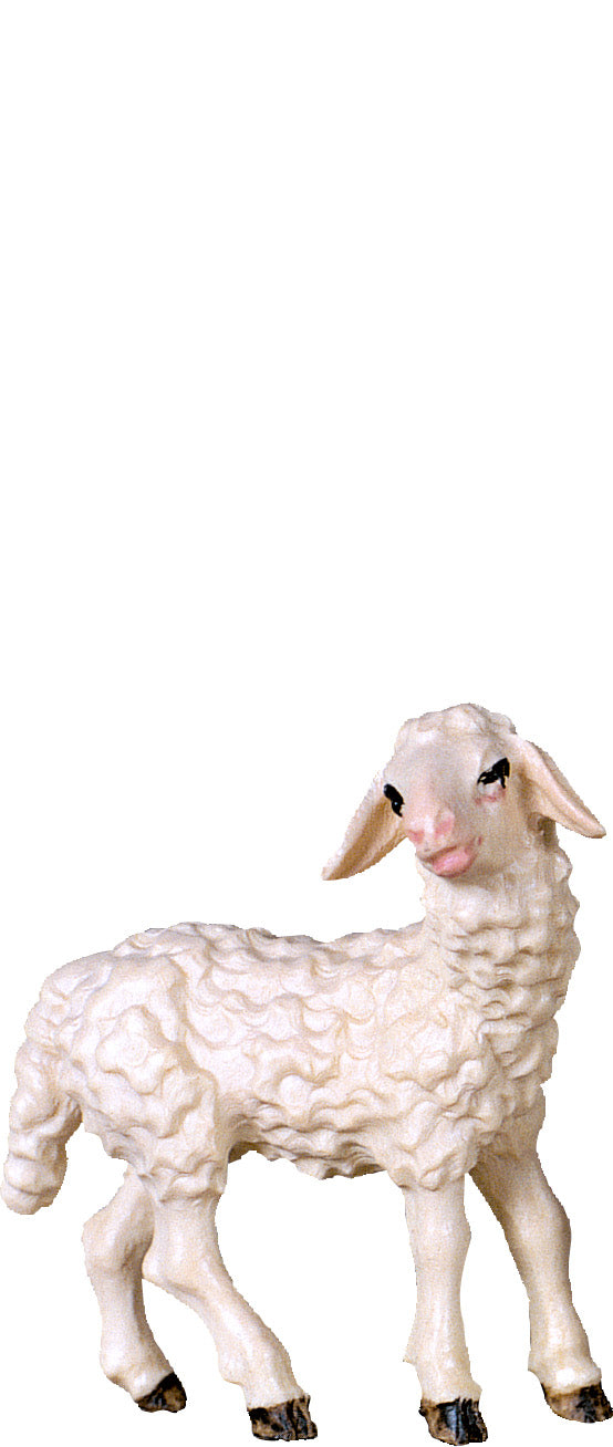 Lamm stehend D.K.
