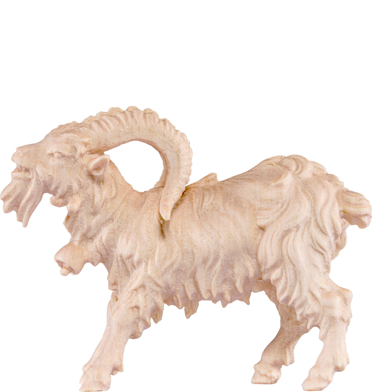 Ziegenbock D.K.