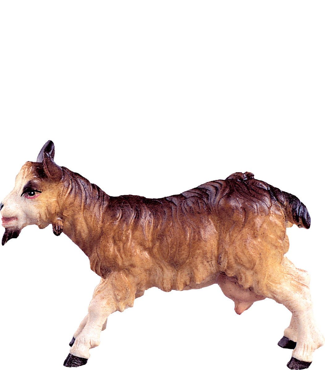 Ziege D.K.