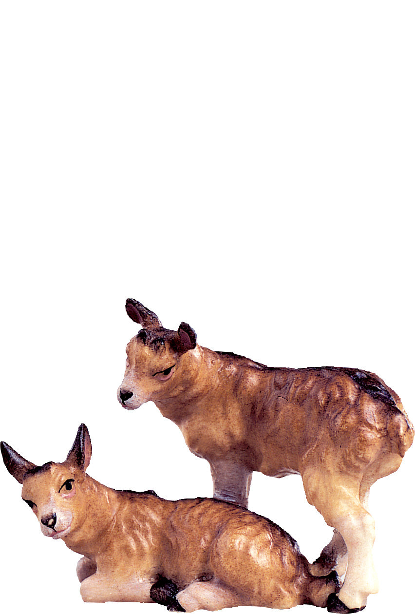 Kitzgruppe D.K.