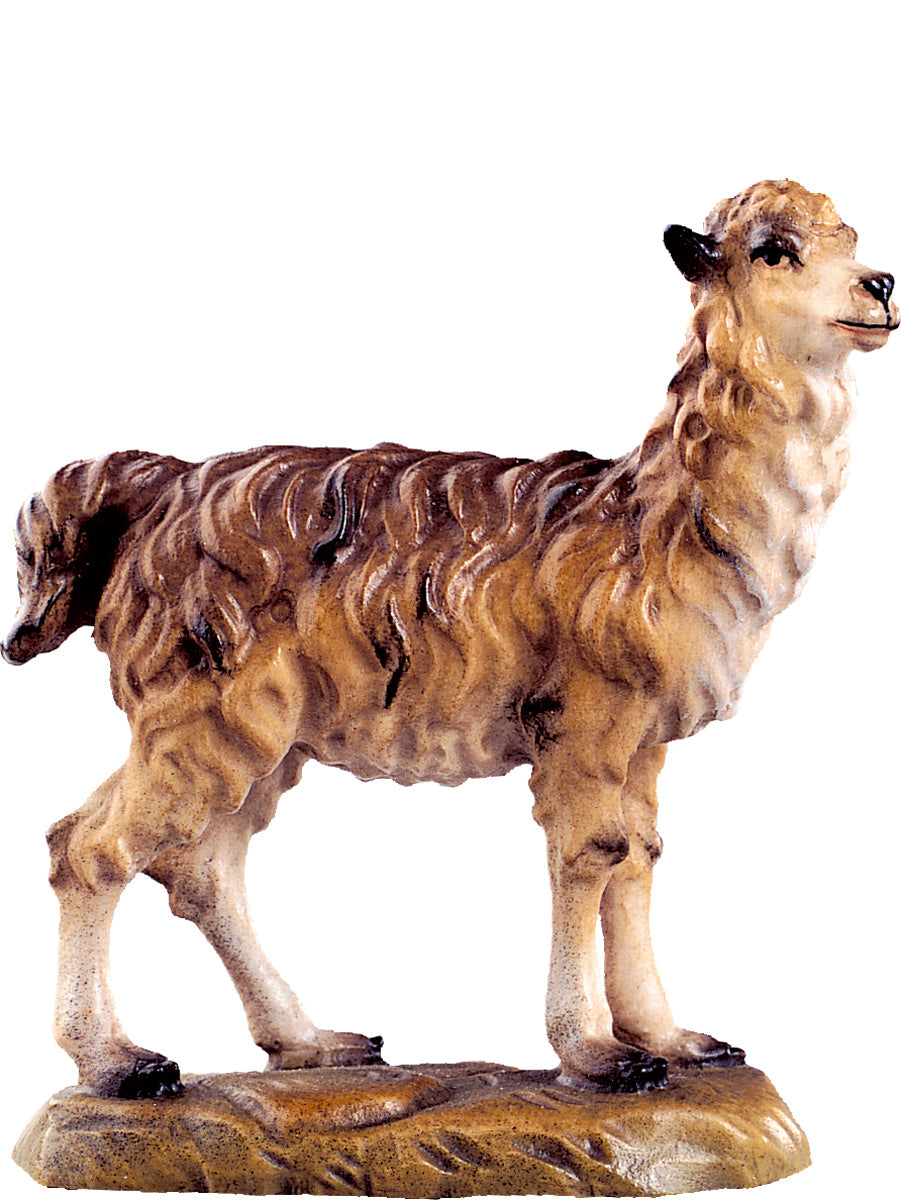 Lama D.K.