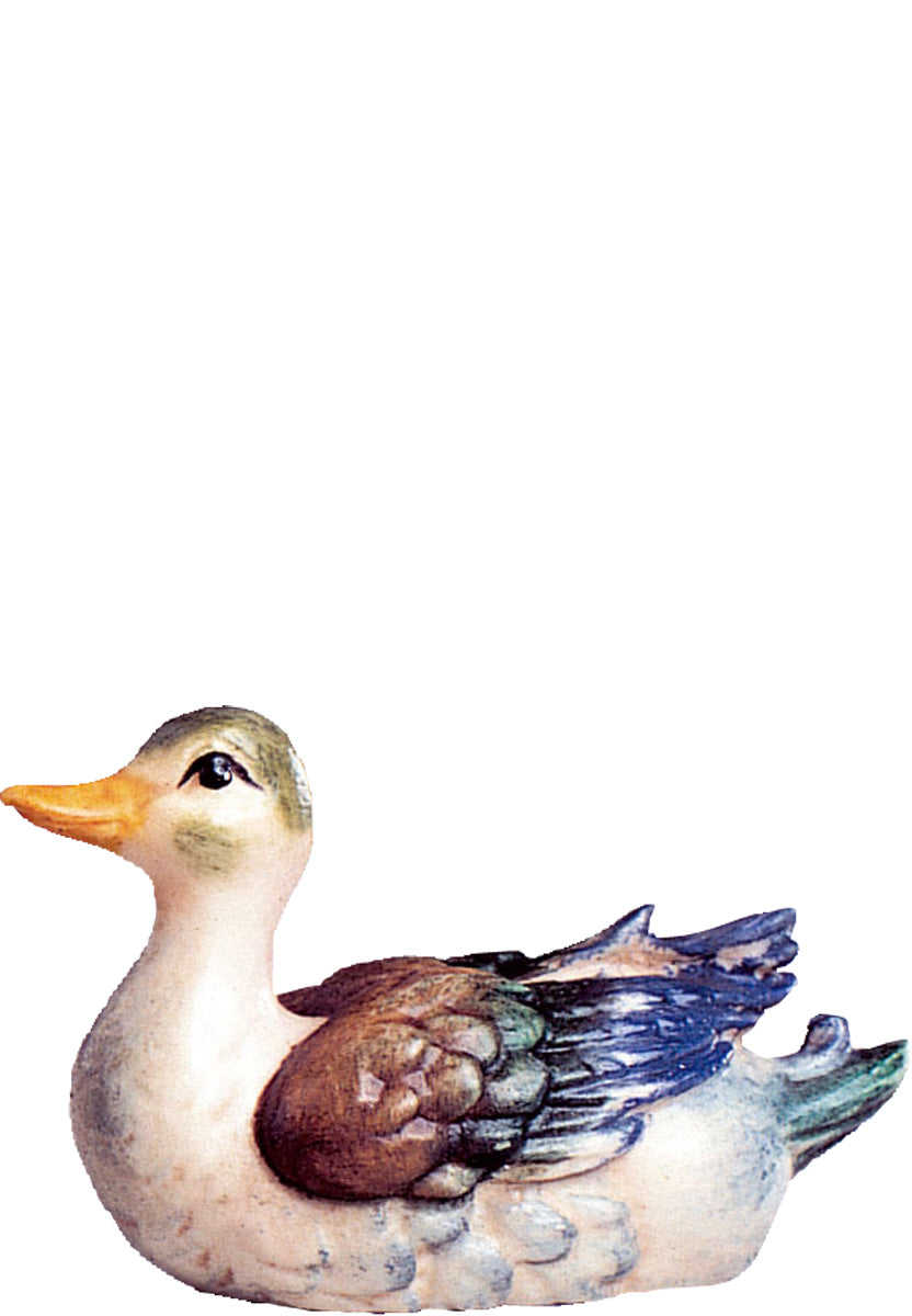 Ente D.K. weiss