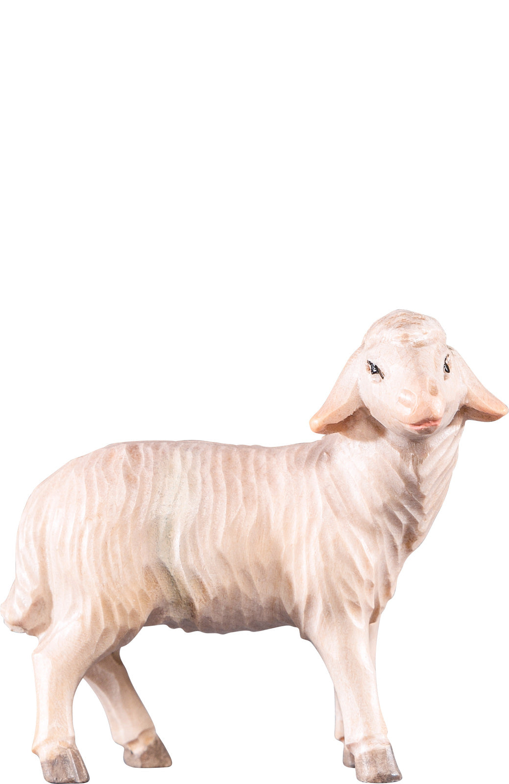 Schaf stehend T.K.