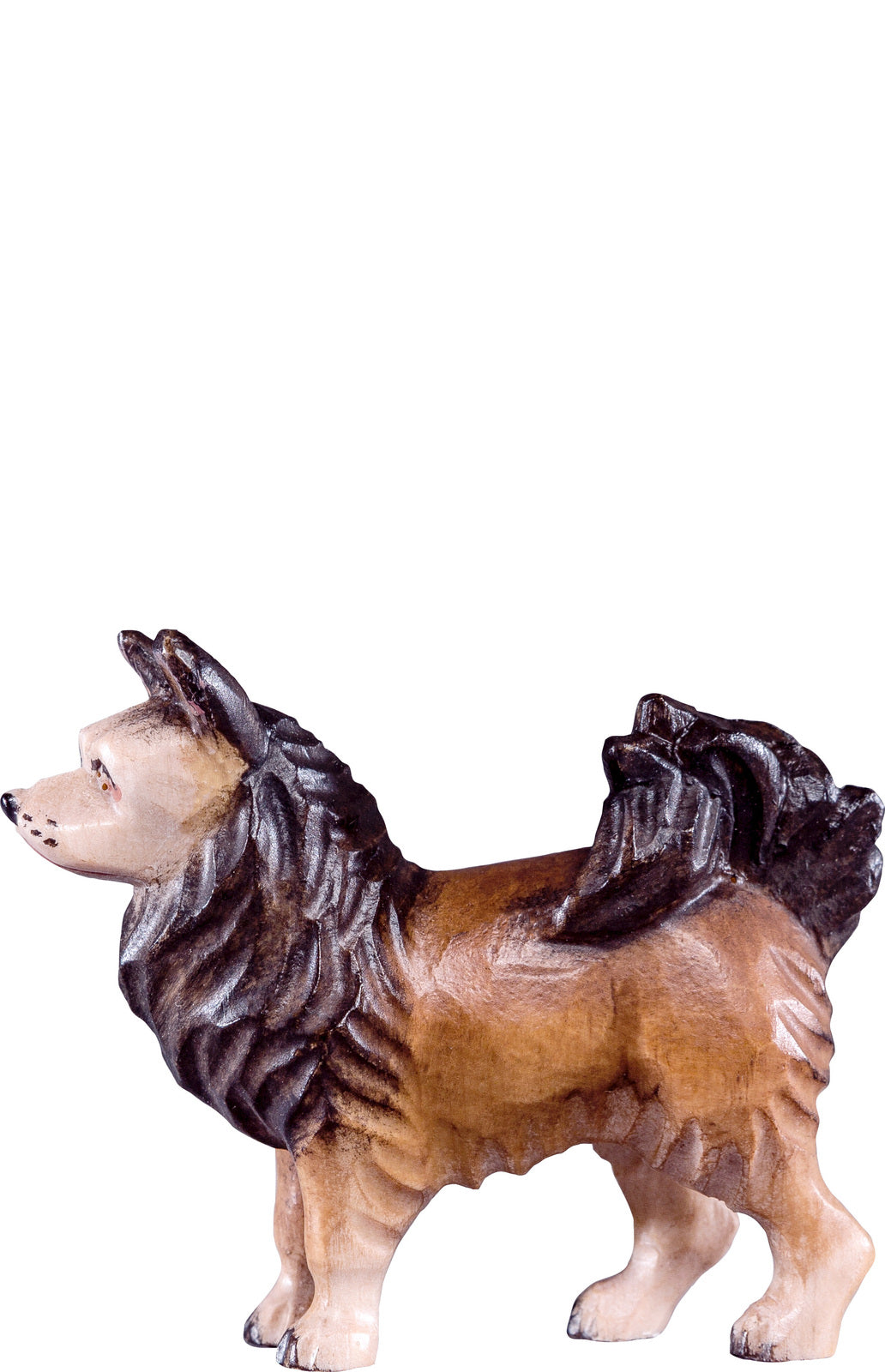 Spitzhund T.K.