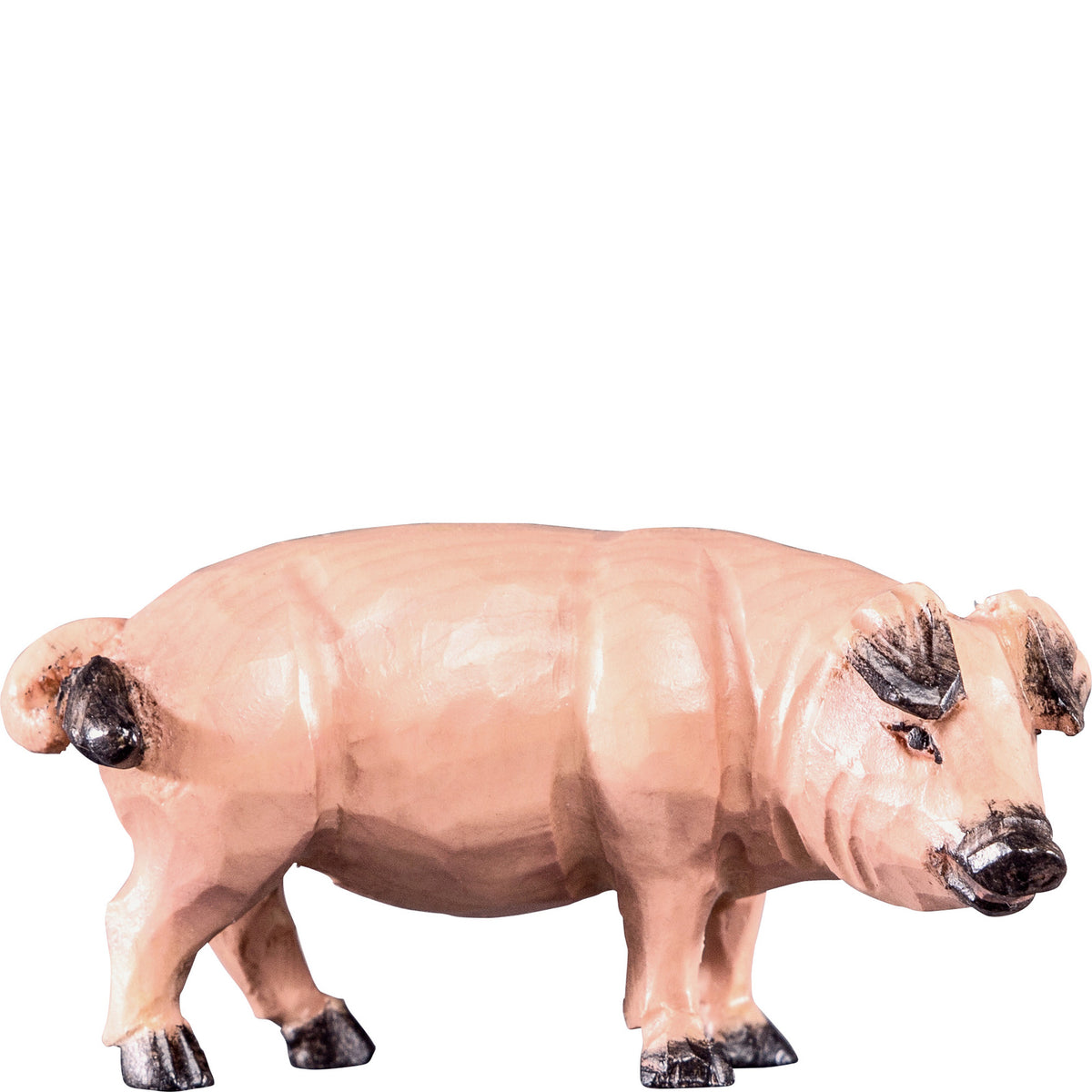 Schwein T.K.