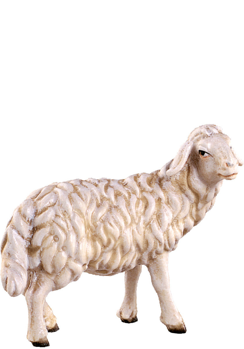 Schaf stehend H.K.