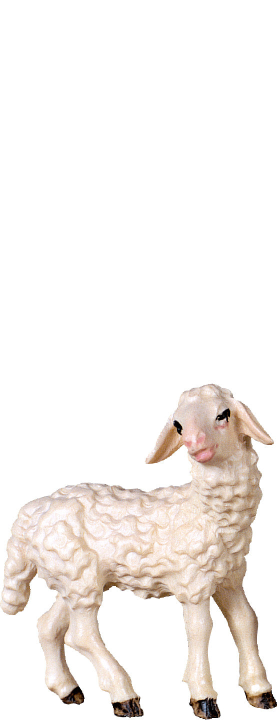 Lamm stehend H.K.
