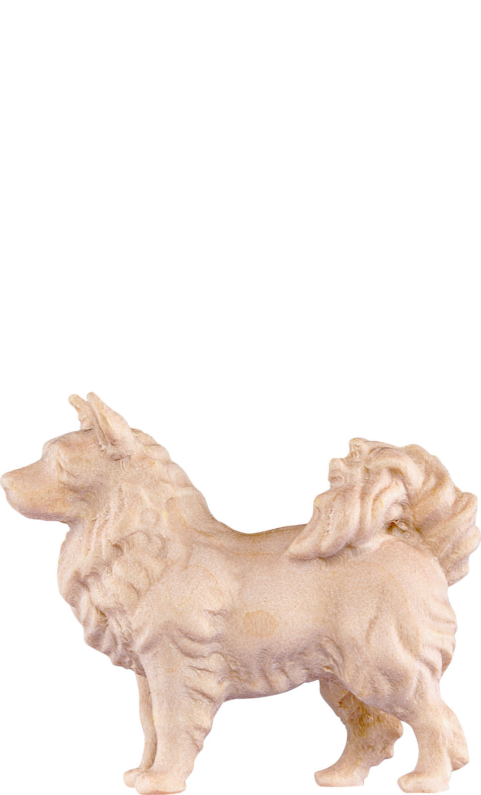 Spitzhund H.K.