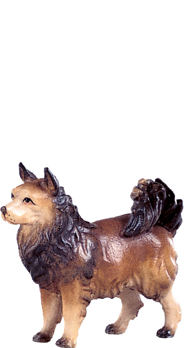 Spitzhund H.K.